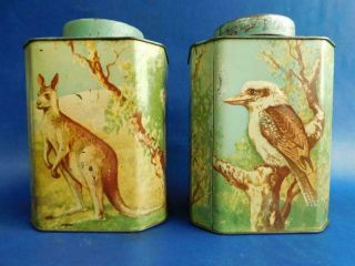 Fine Pair Bushells Tea Caddy Form Tea Tins Australian Animals 1930s