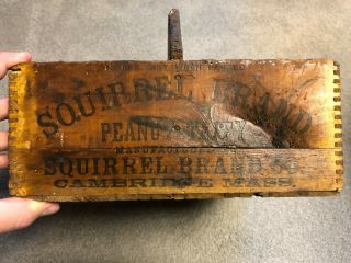Rare Antique C.  1890s Squirrel Brand Peanut Taffy Advertising Wood Handled Crate