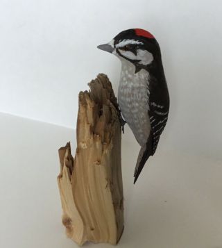 Bird Carving:min.  Downy Woodpecker By Duane Larson