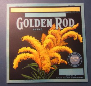 Of 25 Old Vintage Golden Rod - Orange Crate Labels - Flowers