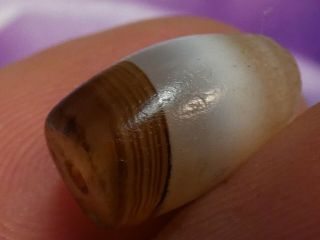 Ancient Authentic Indo Tibetan Chung Dzi Agate Bead 3 Colors Rare 13.  7 By 9.  1 Mm