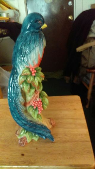 Statue Blue Macaw Parrot on Branch Life Size Sculpture Made in Italy by Grazian 3