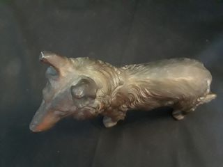 Old Vintage Collectible Brass Collie Paper Weight Brass dog 6