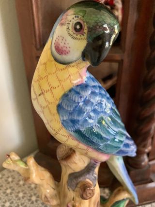 Lovely Blue & Yellow Parakeet Parrot Tropical Bird Statue 2