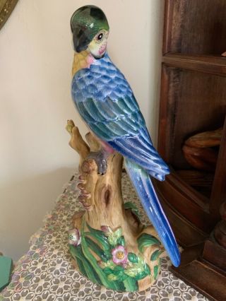 Lovely Blue & Yellow Parakeet Parrot Tropical Bird Statue 7