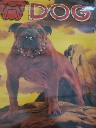 (VTG) red dog beer movie poster Saloon Western train tracks poster miller rare 2