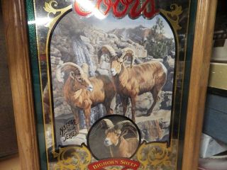 1995 Coors Beer BIGHORN SHEEP 2 of 6 in Nature Series Mirror Susan Shea Artwork 3
