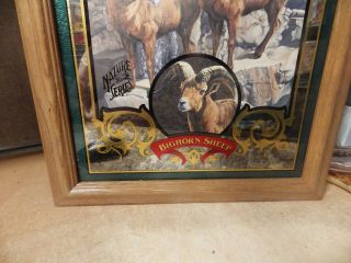 1995 Coors Beer BIGHORN SHEEP 2 of 6 in Nature Series Mirror Susan Shea Artwork 4