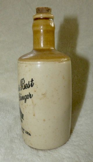 Antique Paterson ' s Best Stone Ginger Beer Bottle/Stoneware Glasgow Stork on Nest 4