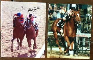 Hall Of Fame Jockey Steve Cauthen Set Of Autographed 8 X 10 Color Photo 