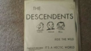The Descendents Ride The Wild It 