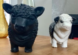 1950s Chalkware Angus/Hereford Curly ' s Bull Bank Factory Lake Andes South Dakota 2