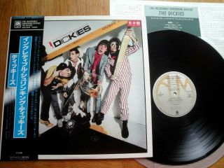 The Dickies - Incredible Shrinking Dickies - Promo Japan 12 " Lp,  Obi - Amp - 6059