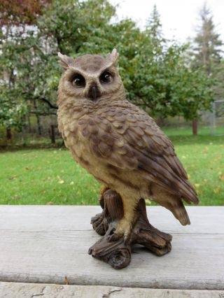 6.  75 " Screech Owl Figurine On Tree Stump Hooter Statue Wise Old Owl Ornament