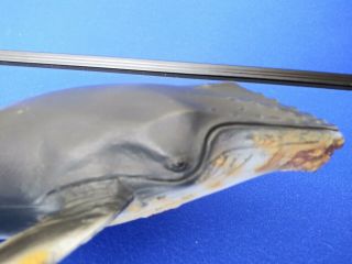 Schleich Buckelwal 1:32 Scale Humpback Whale Figure 2006 Sea Ocean Life