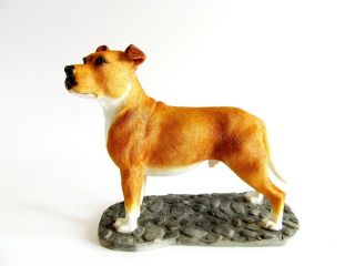 Staffordshire Bull Terrier - Tan & White Dog Figurine On Base - Border Fine Arts