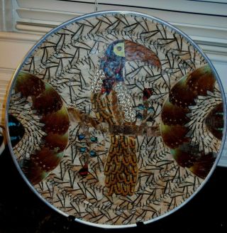 Vintage Real Butterfly Wing Art Plate Toucan Design 14&3/4 " Across Brazil?