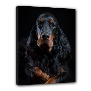 Gordon Setter Canvas Print Dog Puppy Art Portrait Framed Wall Home Decor Gifts