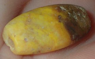 18mm Ancient Roman Very Rare Yellow Jasper Bead,  1800,  Years Old,  S1150