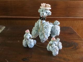 Vintage Poodle Mom And 2 Pups With Chains Baby Blue,  Hats,  Spaghetti Trim.