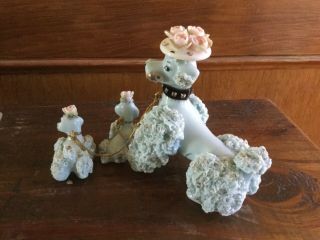 Vintage Poodle Mom and 2 pups with chains Baby blue,  hats,  spaghetti trim. 3