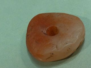 Ancient Pre - Columbian Tairona Slick Orange Agate Disc Bead 19.  6 By 5.  4 Mm