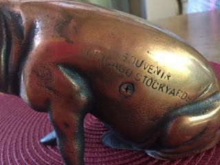 Vintage Cast Iron Pig Bank SOUVENIR CHICAGO STOCKYARDS Copper Wash 1940s 5