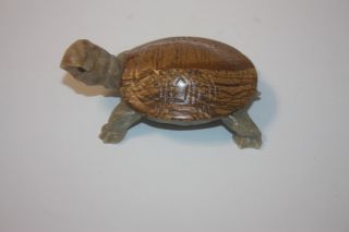 Turtle Hand Carved Stone Turtle Gem Hand Carved Turtle