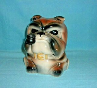 Bulldog Smoking A Pipe Vintage Ceramic 6 - 1/2 " Tall Piggy Bank