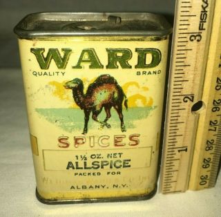 Antique Ward Allspice Spice Tin Litho Can Camel Albany Ny Country Grocery Store