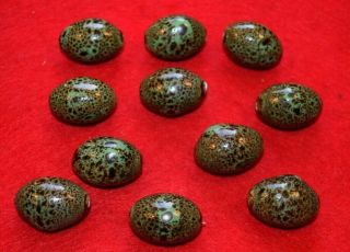 11 Large Green/spotted Brown Beads,  Enameled?