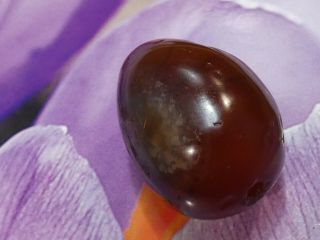 Ancient Indus Cambodian S.  E Asian Banded Agate Bead Gorgeous Pear Shape