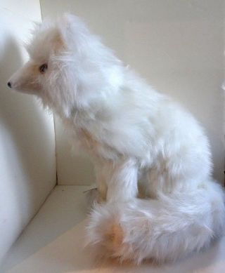Long Haired White Artic Fox Sitting Figure Hand Made 17 " $80 Ships