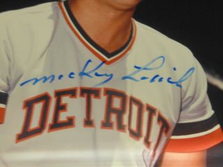Mickey Lolich Autograph Photos - MLB signature picture All Star MVP Tigers 2