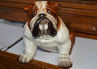 Vintage Ceramic English Bulldog Statue Figure 9 " By 6 " By 7 " Japan Mark Dog