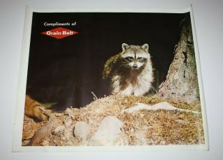 Vintage Grain Belt Beer Advertising Poster Raccoon Minneapolis Brewing Co 6510