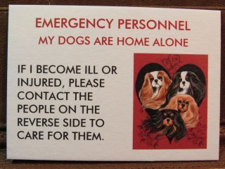 Special Listing.  Emergency Contact Cards