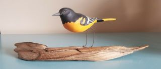 Hand Carved & Painted Wooden Bird Baltimore Oriole On Driftwood Figurine