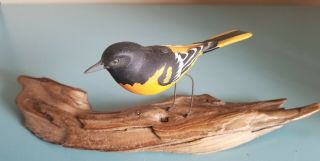 Hand Carved & Painted Wooden Bird Baltimore Oriole On Driftwood Figurine 5