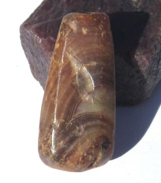 Rare Large Ancient Banded Carnelian Agate Eye Mali Bead 14mm X 27mm