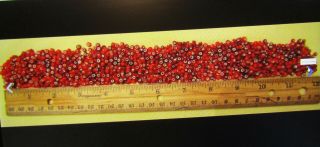 1,  000,  Antique African Red Venetian Glass Trade Beads/relatd Hudson Bay Beads