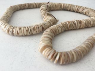 Antique African Trade Bead Necklace L Beads 26.  5 " Clam Shell Disc Round Cream