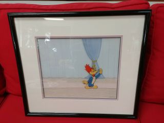 Walter Lantz Woody Woodpecker Hand Inked And Painted Production Cel Circa 1950 