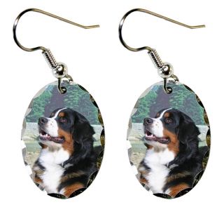 Bernese Mountain Dog Earrings