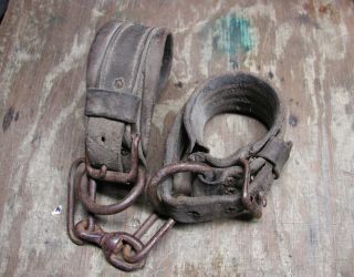 Antique Horse Hobbles All Iron Chain Links And Buckles Closures Cow