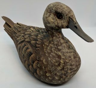 Handcrafted Pintail Hen Duck Decoy Signed By The Artist