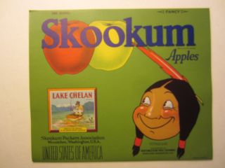 Of 25 Old Vintage - Skookum - Apple Crate Labels - Indian - Green