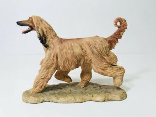 Rare Bfa Border Fine Arts Scotland Afghan Hound Dog Figurine 1983