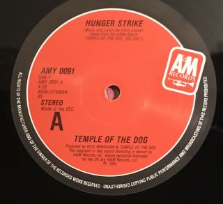 Rare TEMPLE OF THE DOG - Hunger Strike VINYL 12 