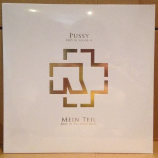 Rammstein Pussy / Mein Teil Remix 12 " Rsd 2014 - - Scooter Pet Shop Boys